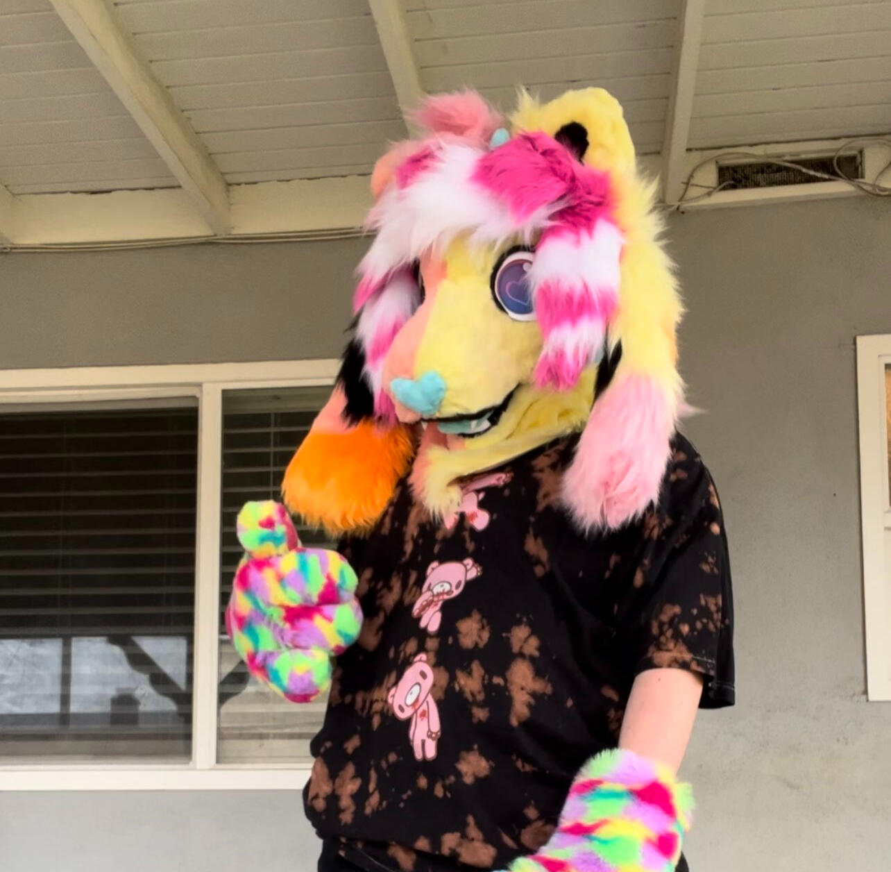 Cherry Lemonade The Kittydog Circa 2023
