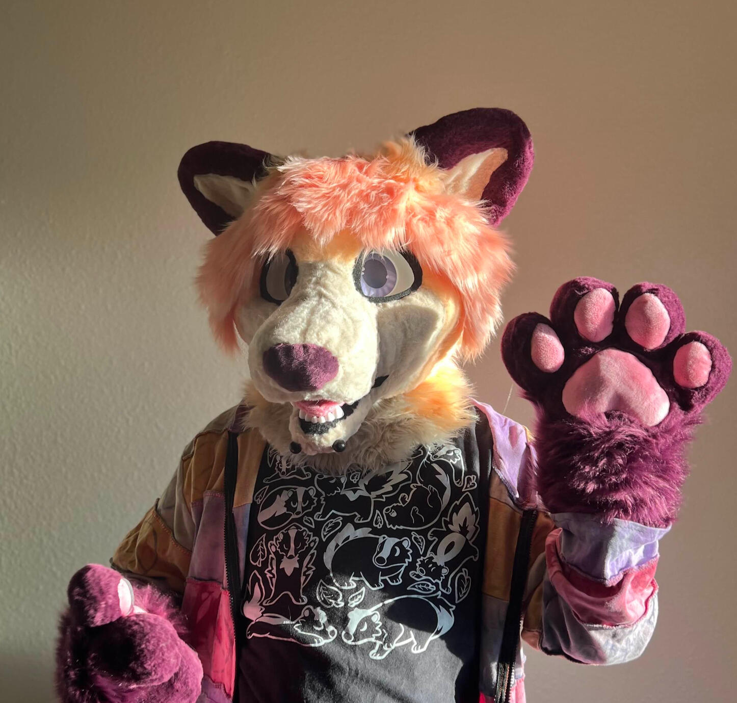 Fox The Fox Circa 2024